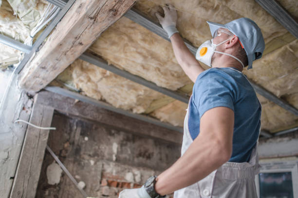 Best Home Insulation Services  in Wood River, NE