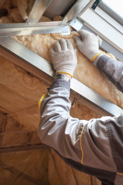 Best Insulation for New Construction  in Wood River, NE