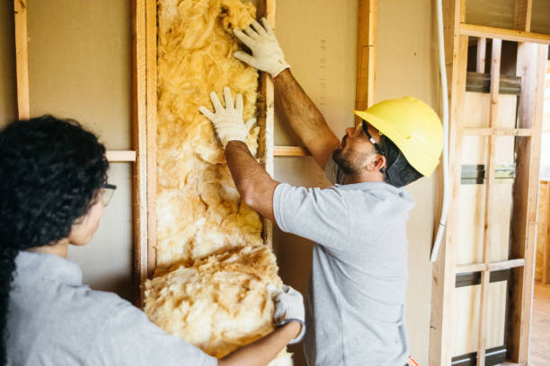 Best Insulation for New Construction  in Wood River, NE