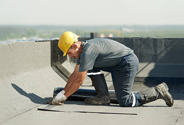Best Insulation Contractors for Homes  in Wood River, NE