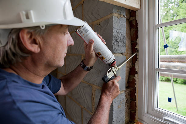Best Local Insulation Services  in Wood River, NE