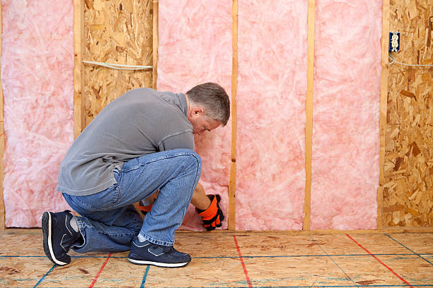 Best Insulation Removal  in Wood River, NE